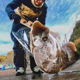 砂浜の怪魚カスザメを釣ってやったぜ!!