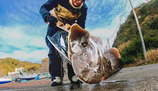 砂浜の怪魚カスザメを釣ってやったぜ!!